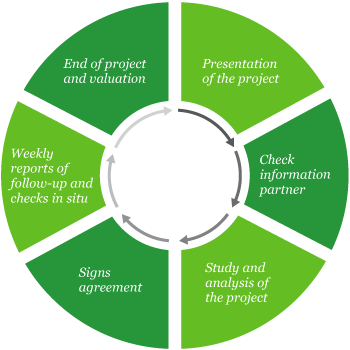 Gráfico proyecto