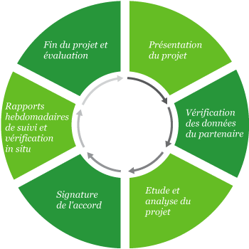 Gráfico proyecto